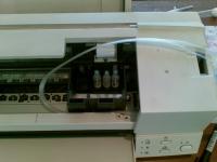 Прикрепленное изображение: 24012009_012_.jpg