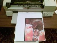 Прикрепленное изображение: 24012009_018_.jpg