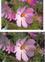 Прикрепленное изображение: L800_E82_EPSON_PG255_1-rezh_EPS_PG_2-icc_for_ELECTRA_small.jpg