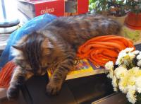 Прикрепленное изображение: 20140928_183238.jpg