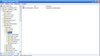 Прикрепленное изображение: regedit_Adobe.PNG