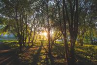 Прикрепленное изображение: IMG_1936_postRAW_small.jpg