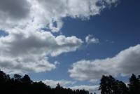 Прикрепленное изображение: IMG_2243_small.jpg
