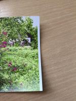 Прикрепленное изображение: IMG_20240612_135034.jpg