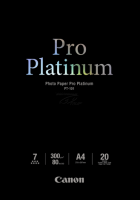 Прикрепленное изображение: Canon Pro Platinum 300.png