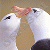 Прикрепленное изображение: 792.gif