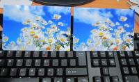Прикрепленное изображение: IMG_2697_small.jpg