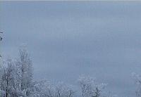Прикрепленное изображение: Небо. Зум.jpg