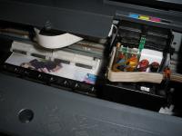 Прикрепленное изображение: PC260905+.jpg