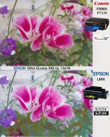 Прикрепленное изображение: Chromalife100_vs_Block_Black_EPSON_UltraGlossy_small.jpg